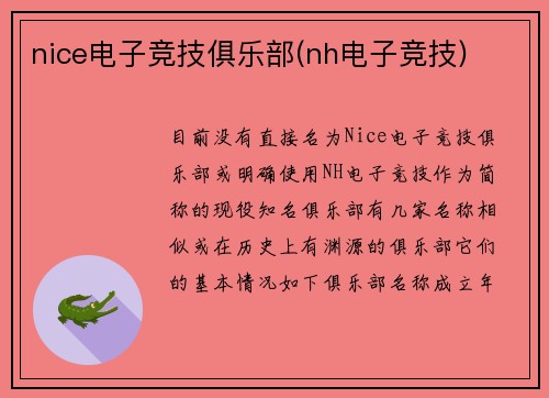 nice电子竞技俱乐部(nh电子竞技)